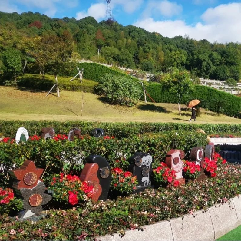 米乐|米乐·M6(中国大陆)官方网站