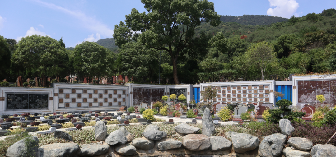 米乐|米乐·M6(中国大陆)官方网站