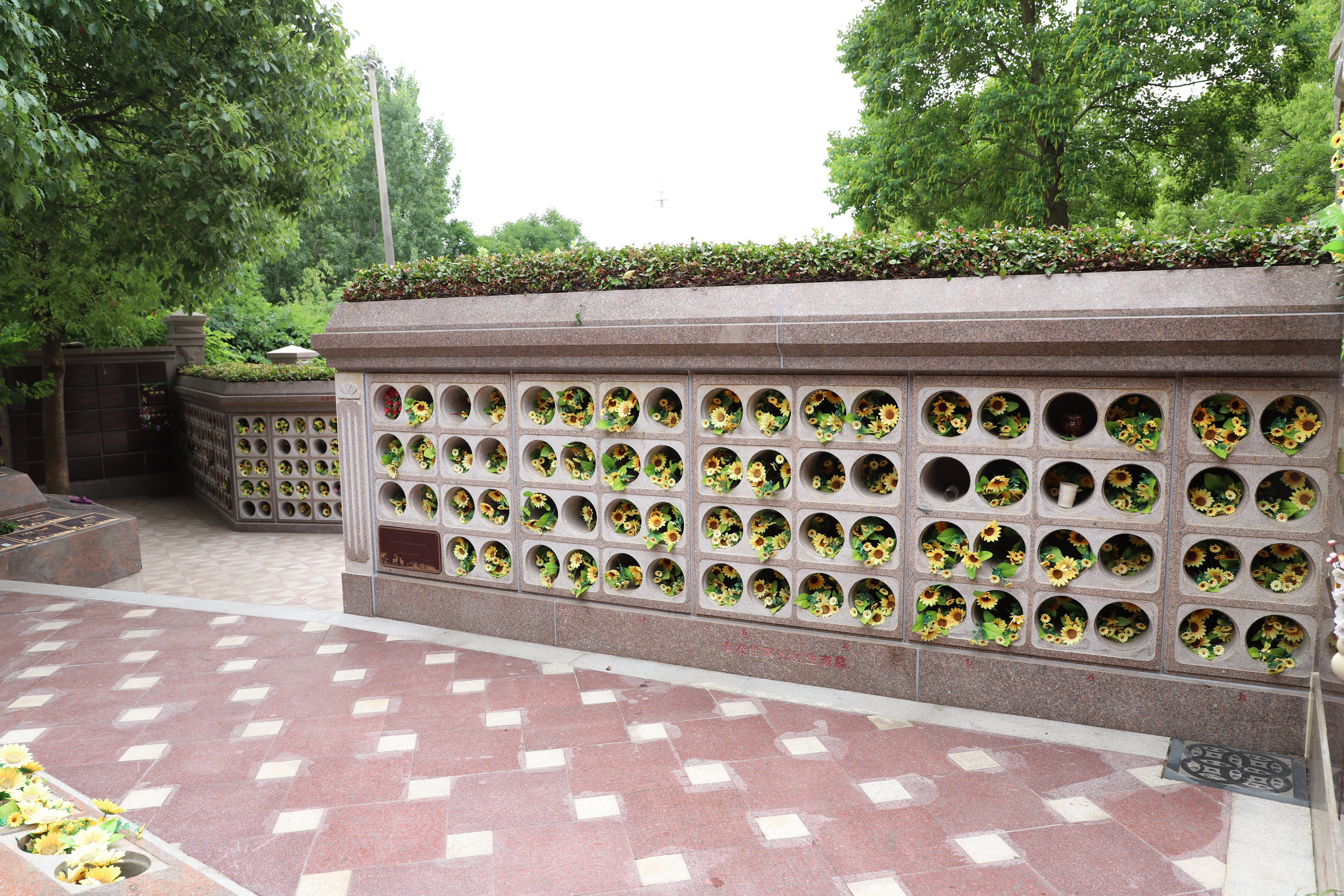 米乐|米乐·M6(中国大陆)官方网站