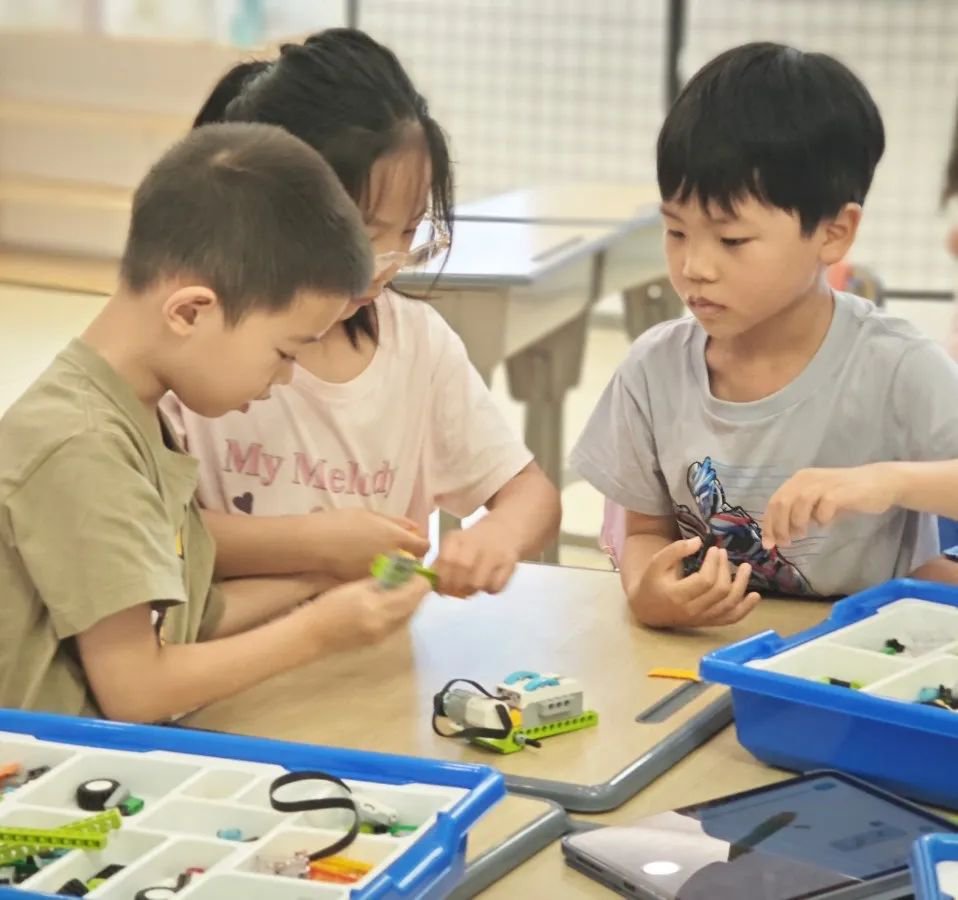 米乐|米乐·M6(中国大陆)官方网站