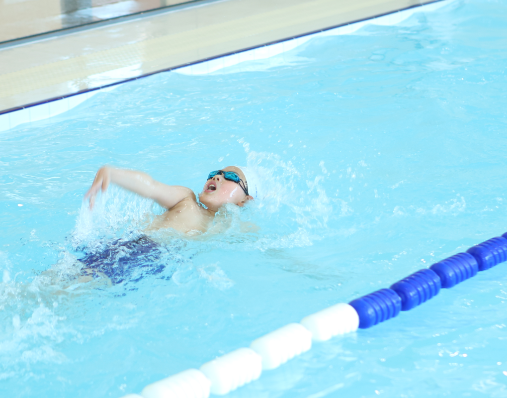 米乐|米乐·M6(中国大陆)官方网站