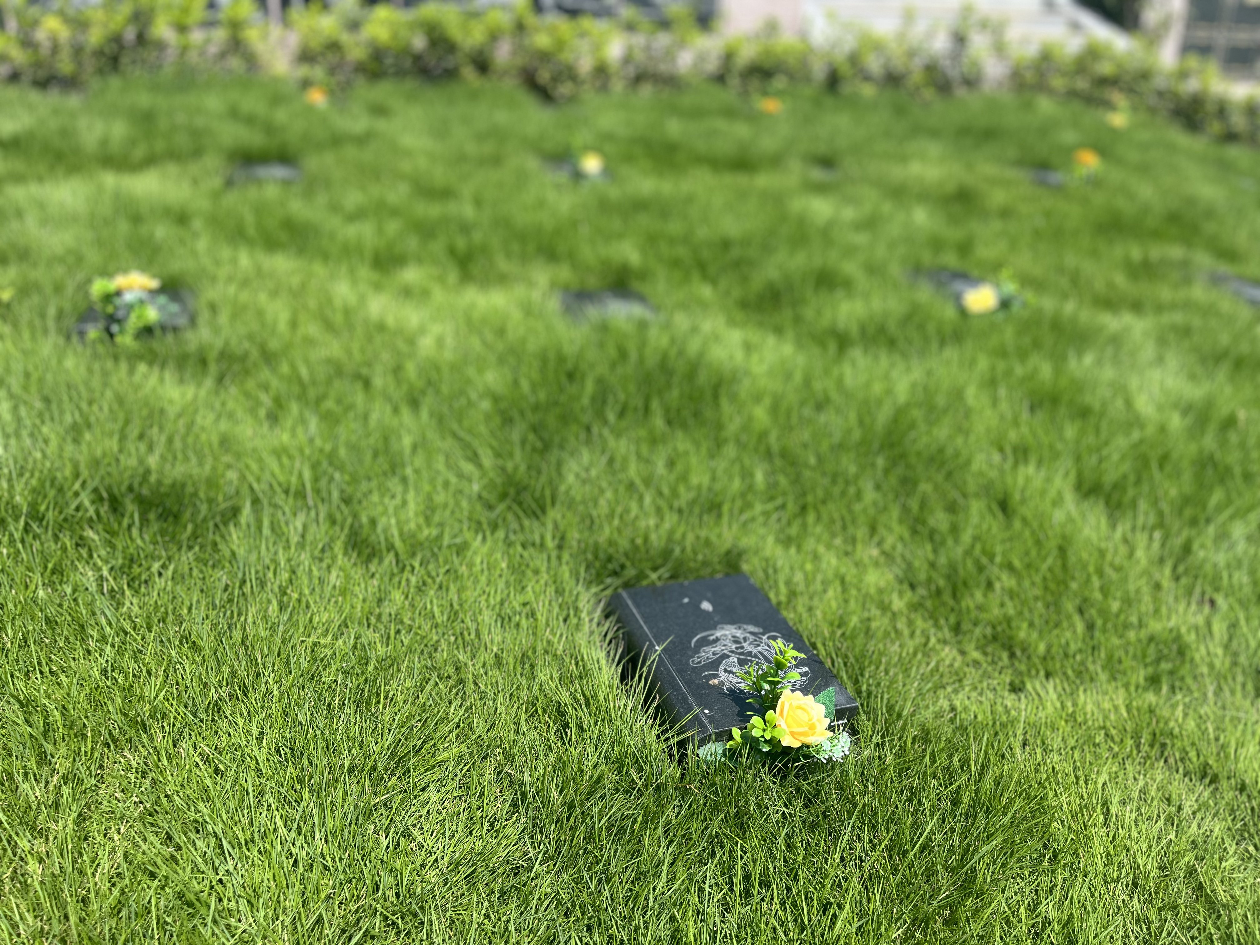 米乐|米乐·M6(中国大陆)官方网站