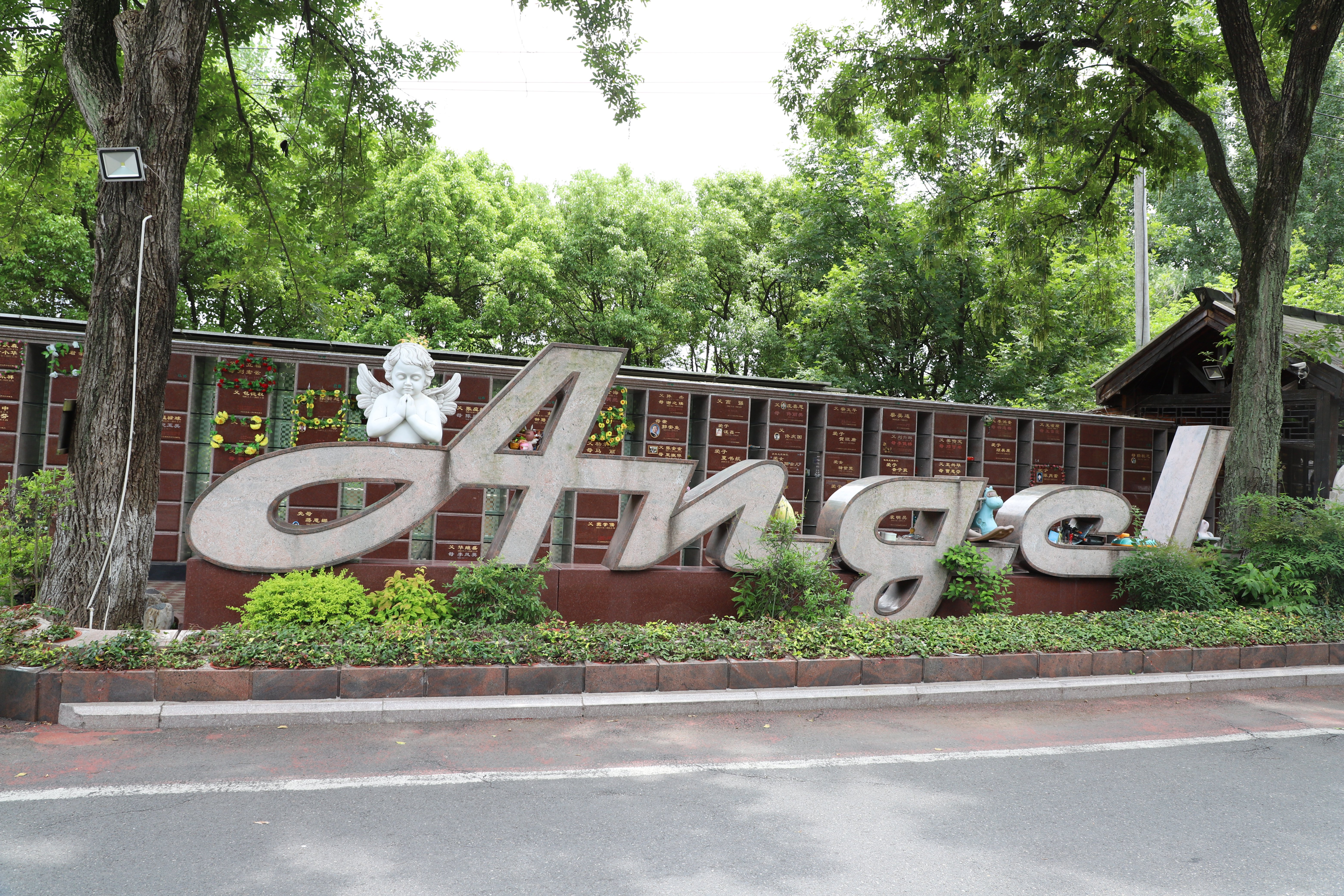 米乐|米乐·M6(中国大陆)官方网站