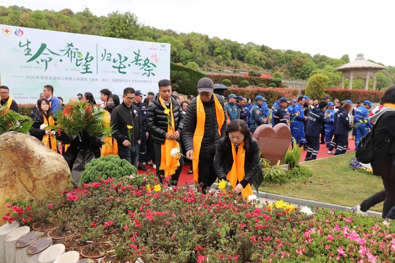 米乐|米乐·M6(中国大陆)官方网站