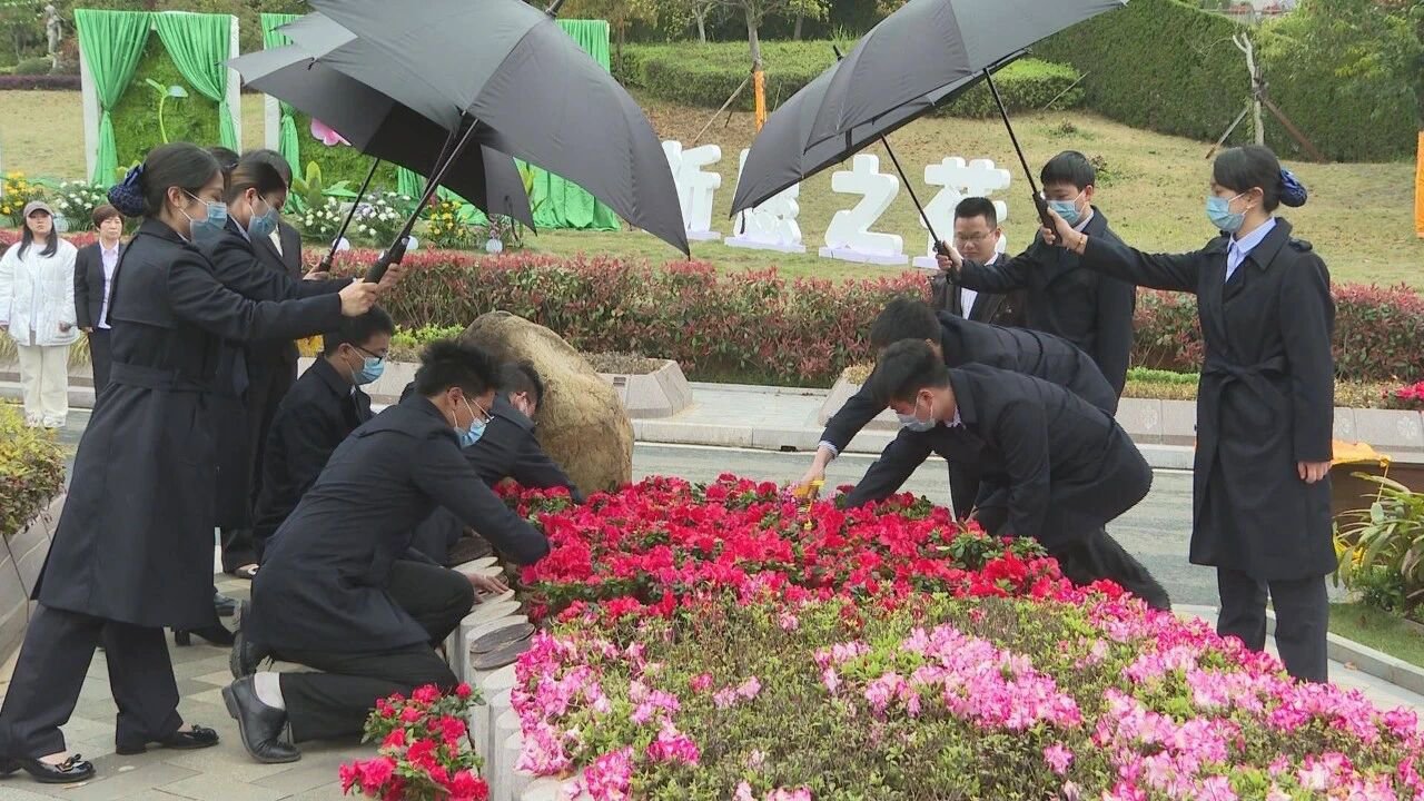 米乐|米乐·M6(中国大陆)官方网站