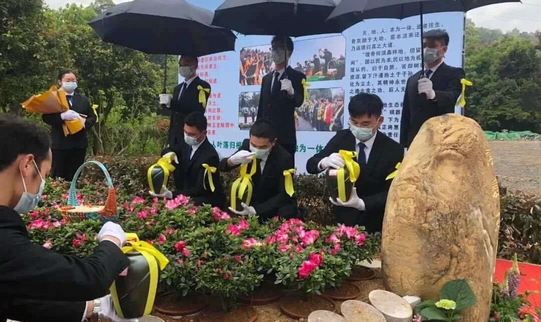 米乐|米乐·M6(中国大陆)官方网站