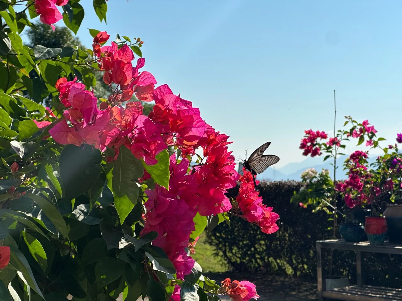 米乐|米乐·M6(中国大陆)官方网站