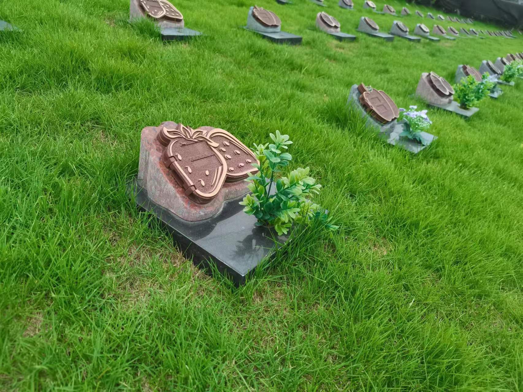 米乐|米乐·M6(中国大陆)官方网站