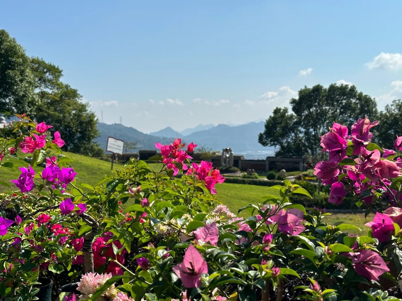 米乐|米乐·M6(中国大陆)官方网站