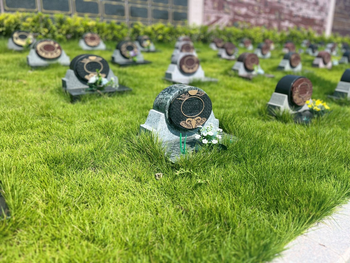 米乐|米乐·M6(中国大陆)官方网站