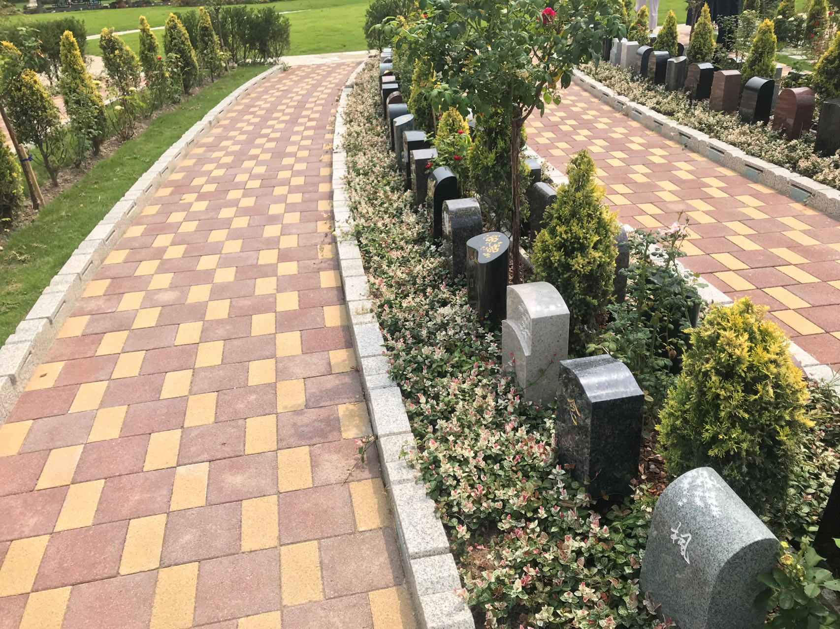 米乐|米乐·M6(中国大陆)官方网站