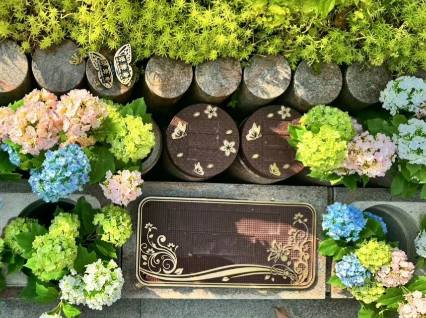 米乐|米乐·M6(中国大陆)官方网站