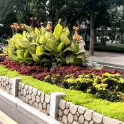 无机仿真石花箱：以永恒之名，，，，，塑未来之境