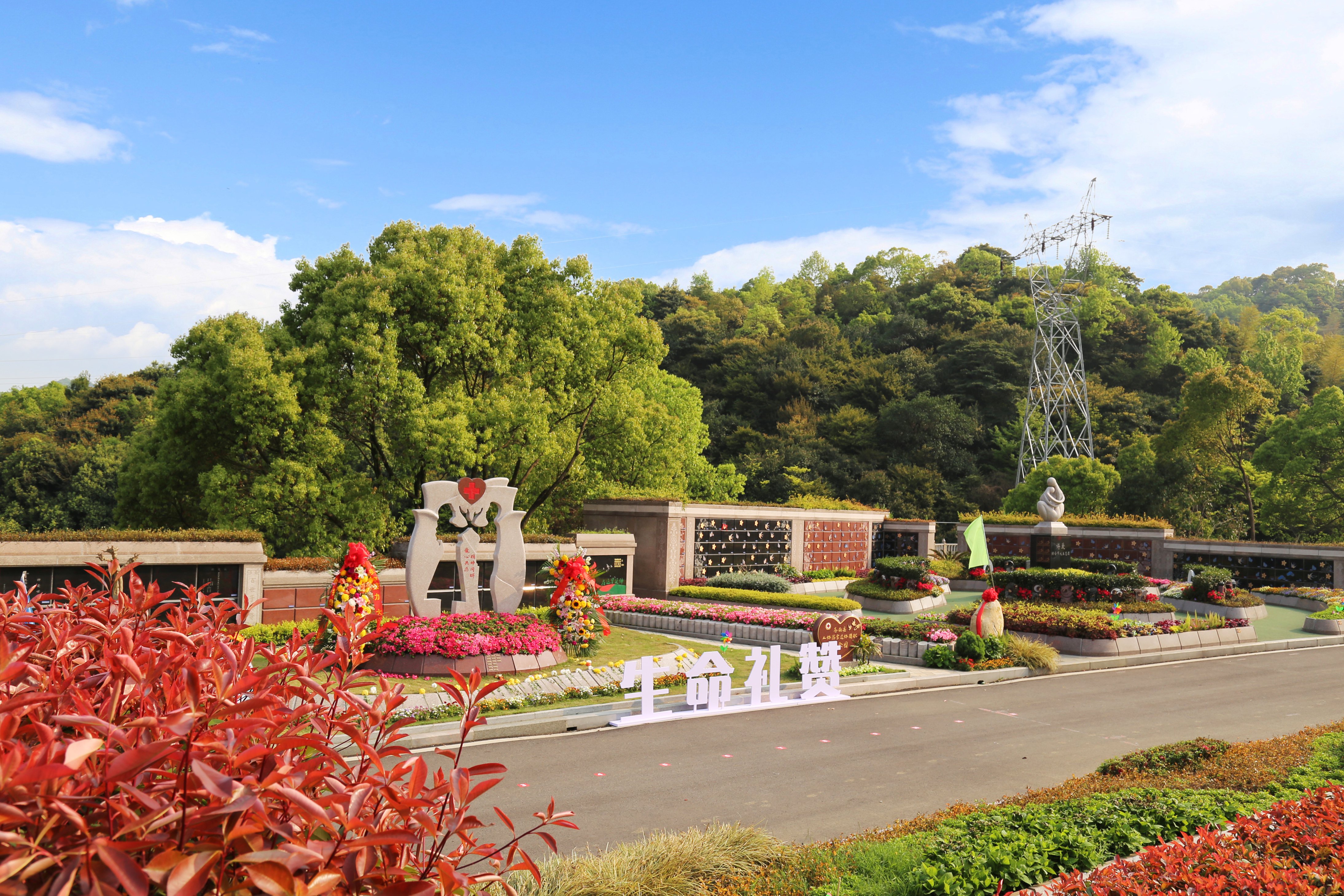 米乐|米乐·M6(中国大陆)官方网站