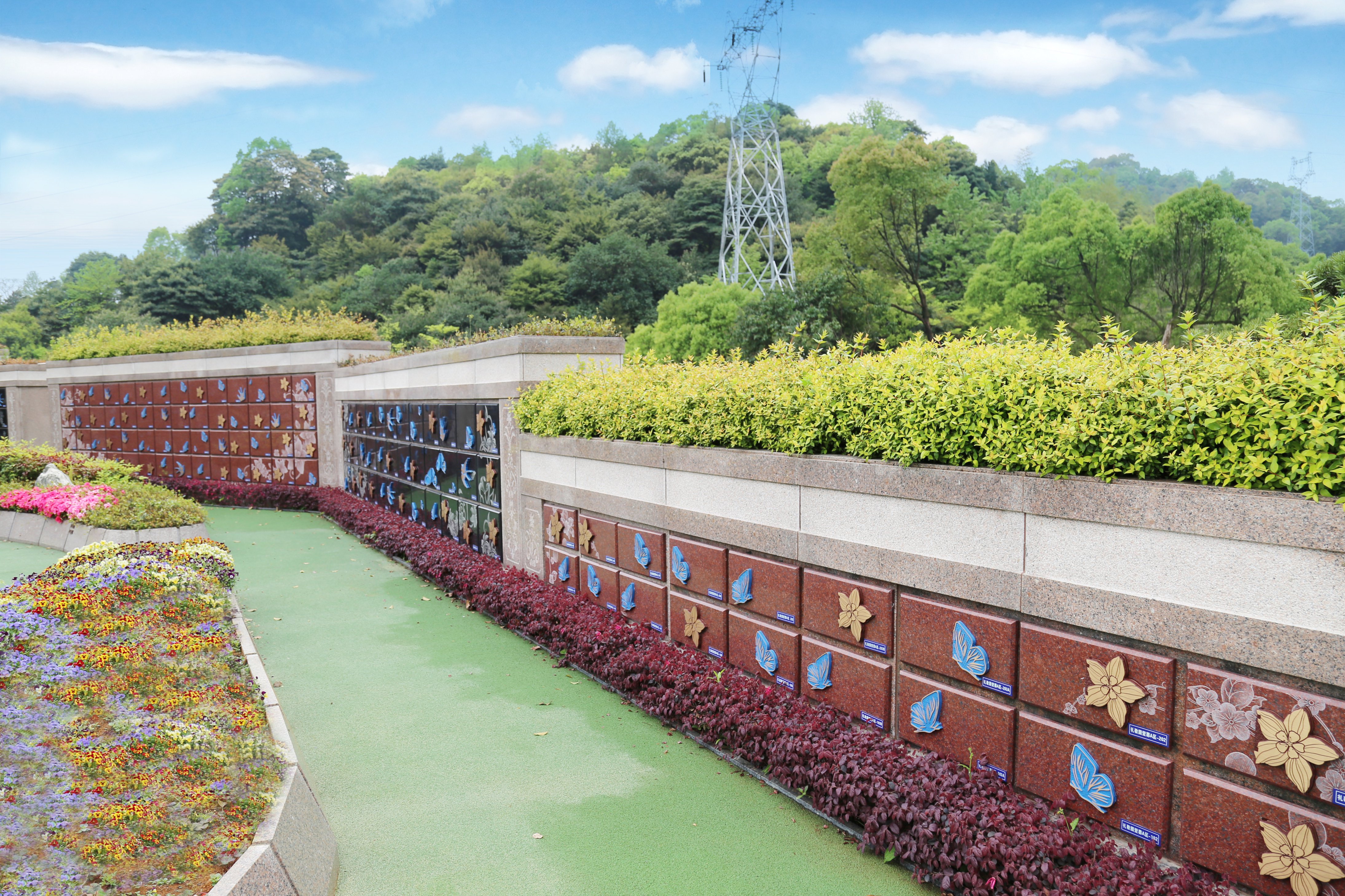 米乐|米乐·M6(中国大陆)官方网站